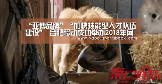 “亚博品牌”“加快技能型人才队伍建设” 合肥移动成功举办2018年网络维护大赛(图3) 亚博品牌