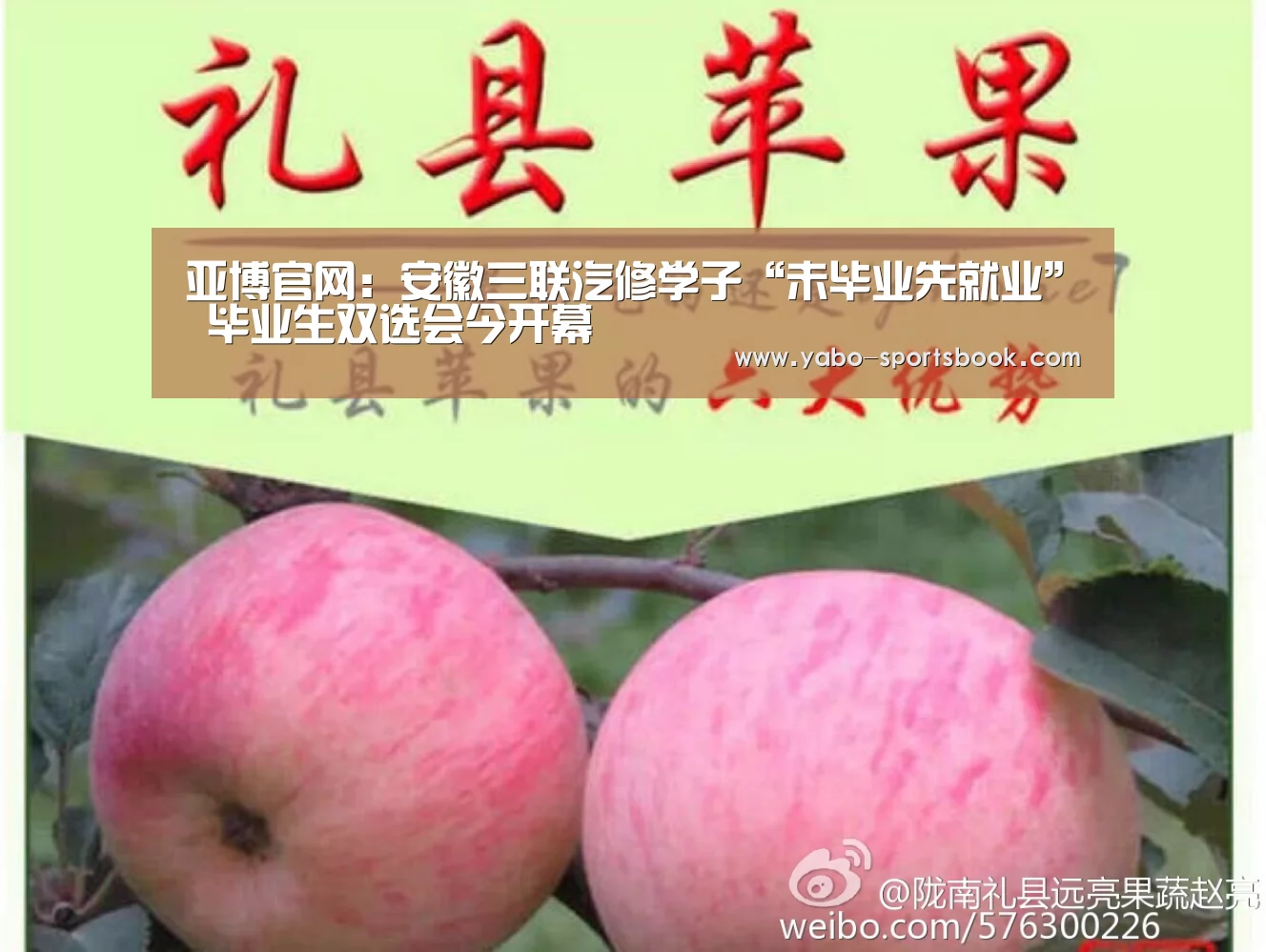 亚博官网:安徽三联汽修学子“未毕业先就业” 毕业生双选会今开幕(图2) 亚博官网