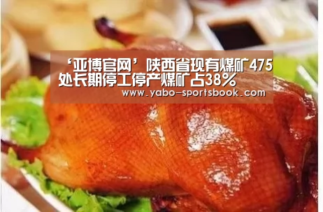 ‘亚博官网’陕西省现有煤矿475处长期停工停产煤矿占38%(图1) 亚博入口