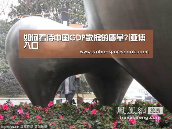 如何看待中国GDP数据的质量?|亚博入口(图1) 亚博官网