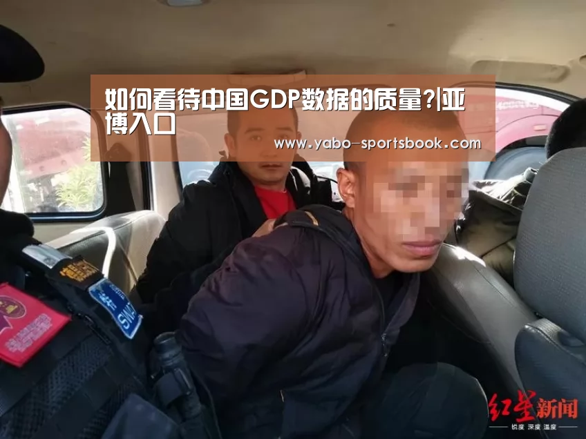如何看待中国GDP数据的质量?|亚博入口(图3) 亚博官网