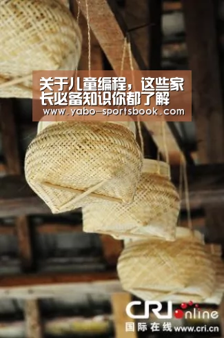关于儿童编程,这些家长必备知识你都了解吗【亚博体育】(图1) 亚博品牌