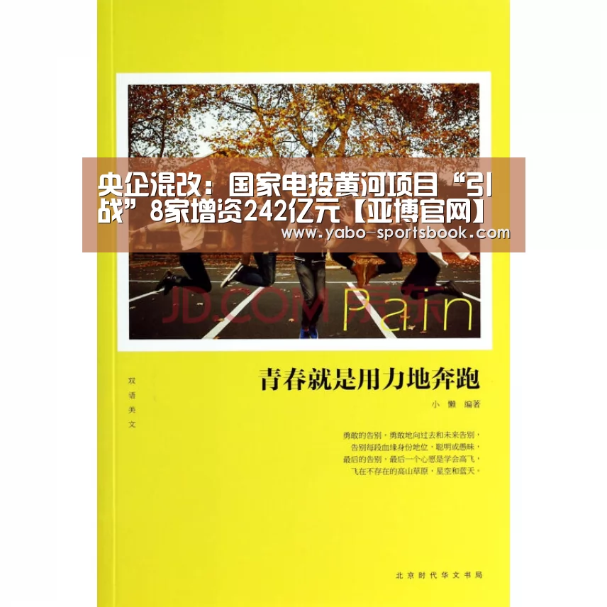 央企混改:国家电投黄河项目“引战”8家增资242亿元【亚博官网】(图2) 亚博体育