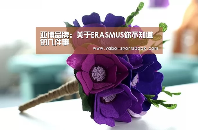 亚博品牌:关于ERASMUS你不知道的几件事(图2) 亚博官网
