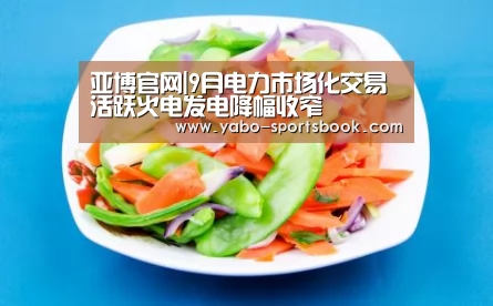 亚博官网|9月电力市场化交易活跃火电发电降幅收窄(图1) 亚博体育