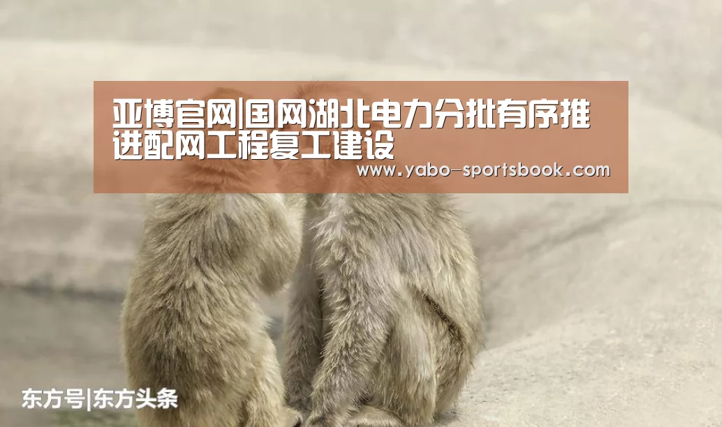 亚博官网|国网湖北电力分批有序推进配网工程复工建设(图1) 亚博入口